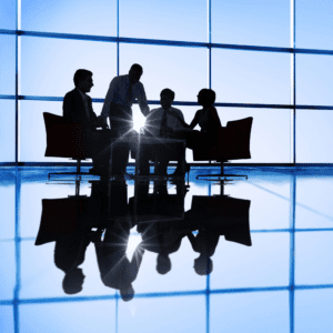 Bunker electronico Detector Dormant DS996