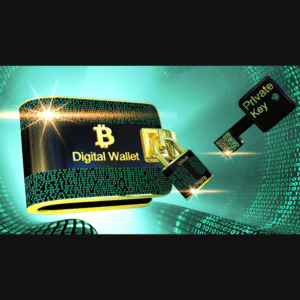 hardware wallet Detector Dormant DS996